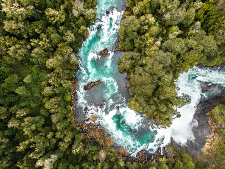 An aerial view of a fast-flowing river, surrounded by lush forest.