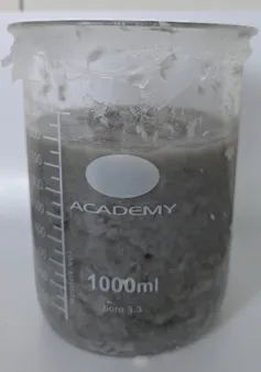 Graphene solution