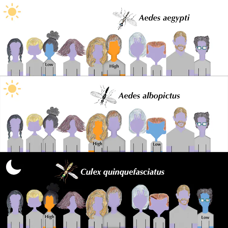 illustration showing three different types of mosquitoes flying around a group of people