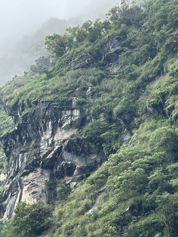 Himalayan hillside