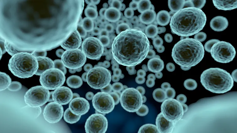 An illustration of floating round microbes