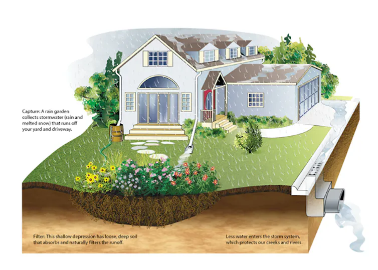 an image explaining how rain gardens and pipes can work together to manage water