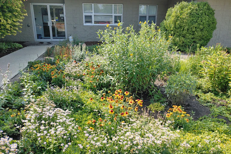 a garden filled with different types of plants and flowers in front of a building.