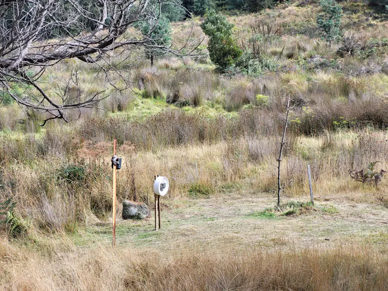 novel vaccine bait dispenser's field setup