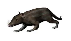 Illustration of four-legged animal with a tail and long nose