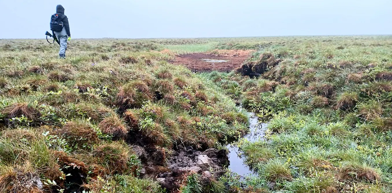 AI Maps Arctic Permafrost Thaw From Satellite Images