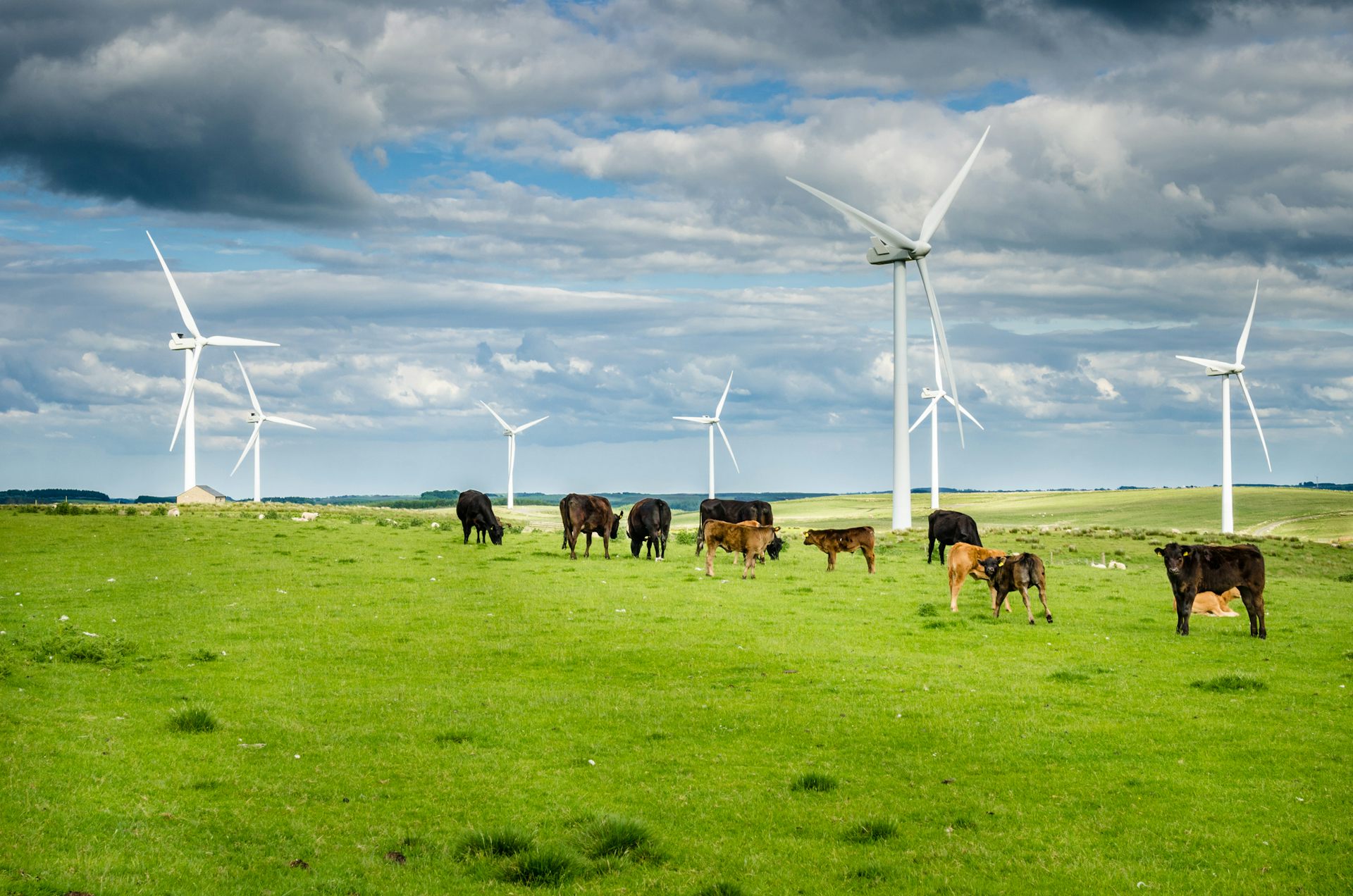Australia needs renewable energy fast – but building it is only half the battle