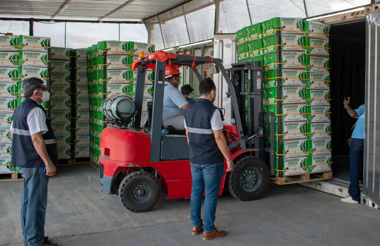 Boxes of Ecuadorian bananas being lifted into a container in Machala.