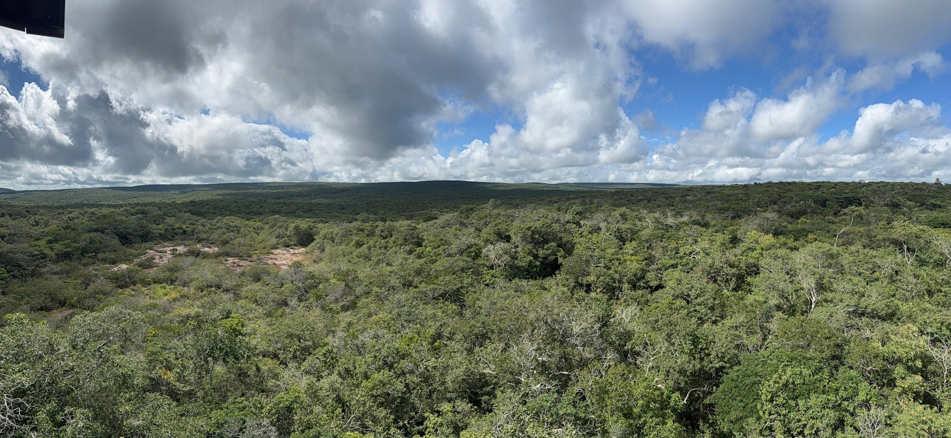 Foto mostra vegetação de caatinga, sob um céu que começa a apresentar nuvens