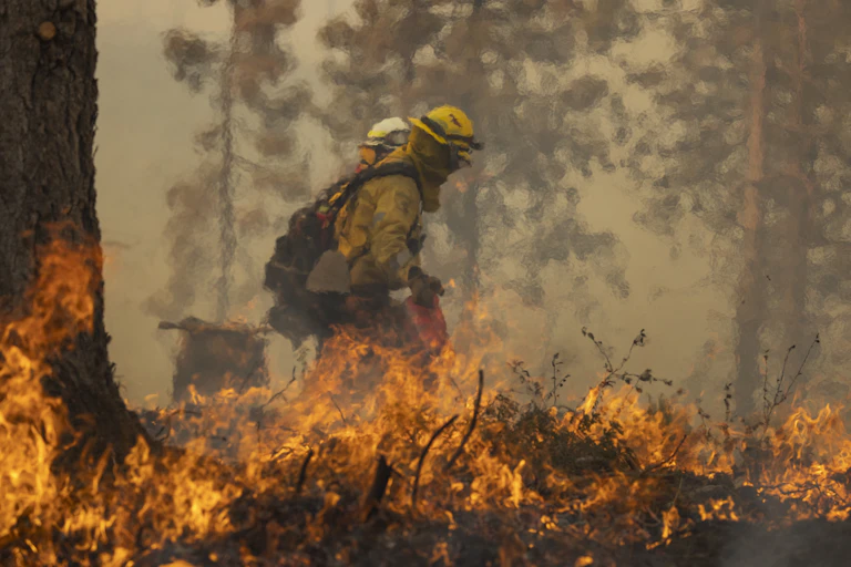 Firefighters working behind a low line of flames.