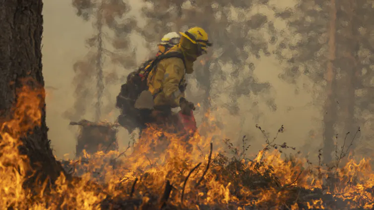 Firefighters working behind a low line of flames.