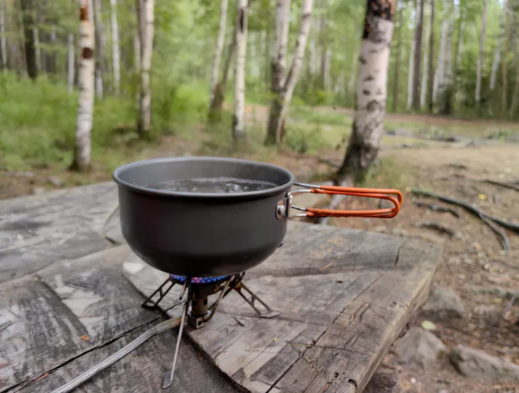 Steaming pot of water on small portable stove on top of a plank of wood in a forest