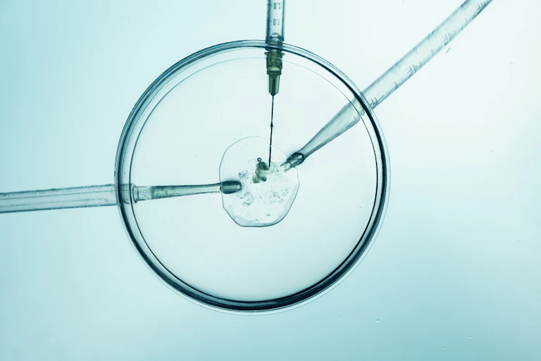Gros plan sur une boîte de Petri, des pipettes et une seringue, au cours d'une manipulation en laboratoire.