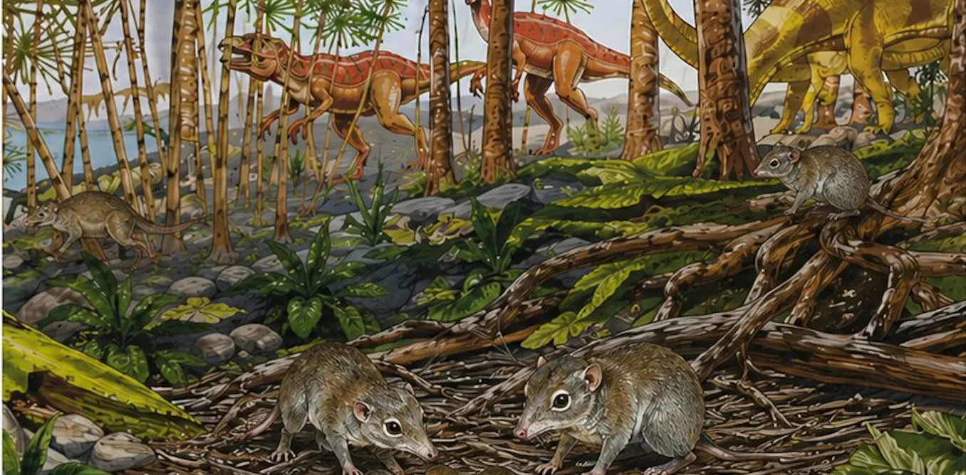 Early mammals weren’t all loners, as scientists thought – some already lived in pairs alongside the dinosaurs