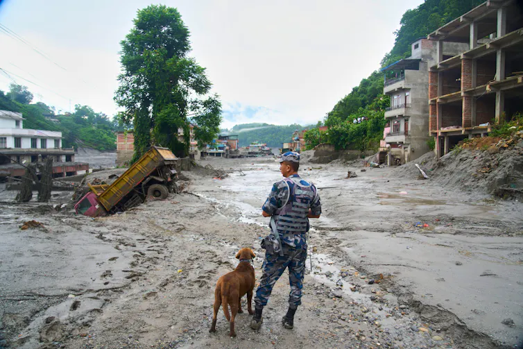 Policeman and dog in aftermath