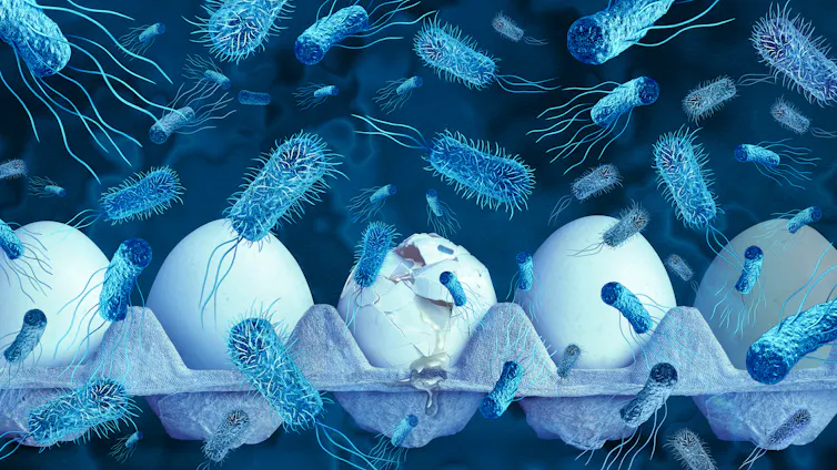 Illustration of cylindrical bacteria floating all around a carton of eggs, with the egg in the center cracked and leaking