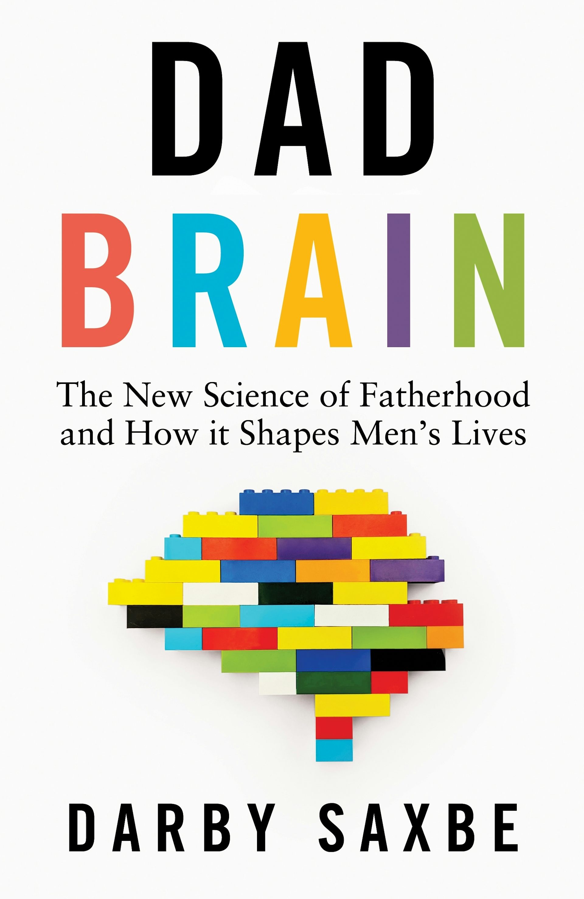 book cover: Dad Brain