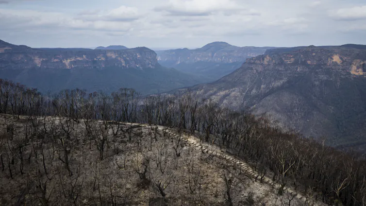 Aftermath of blue mountains bushfire, landscape photo showing mountains and valleys with burned area in foreground