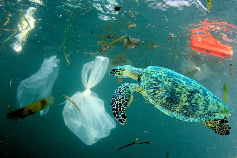Laporan Sistem Informasi Pengelolaan Sampah Nasional memperkirakan dari 50,06 juta ton timbunan sampah di Tanah Air pada 2025, sekitar 16,02 juta ton di antaranya masuk ke perairan Indonesia.