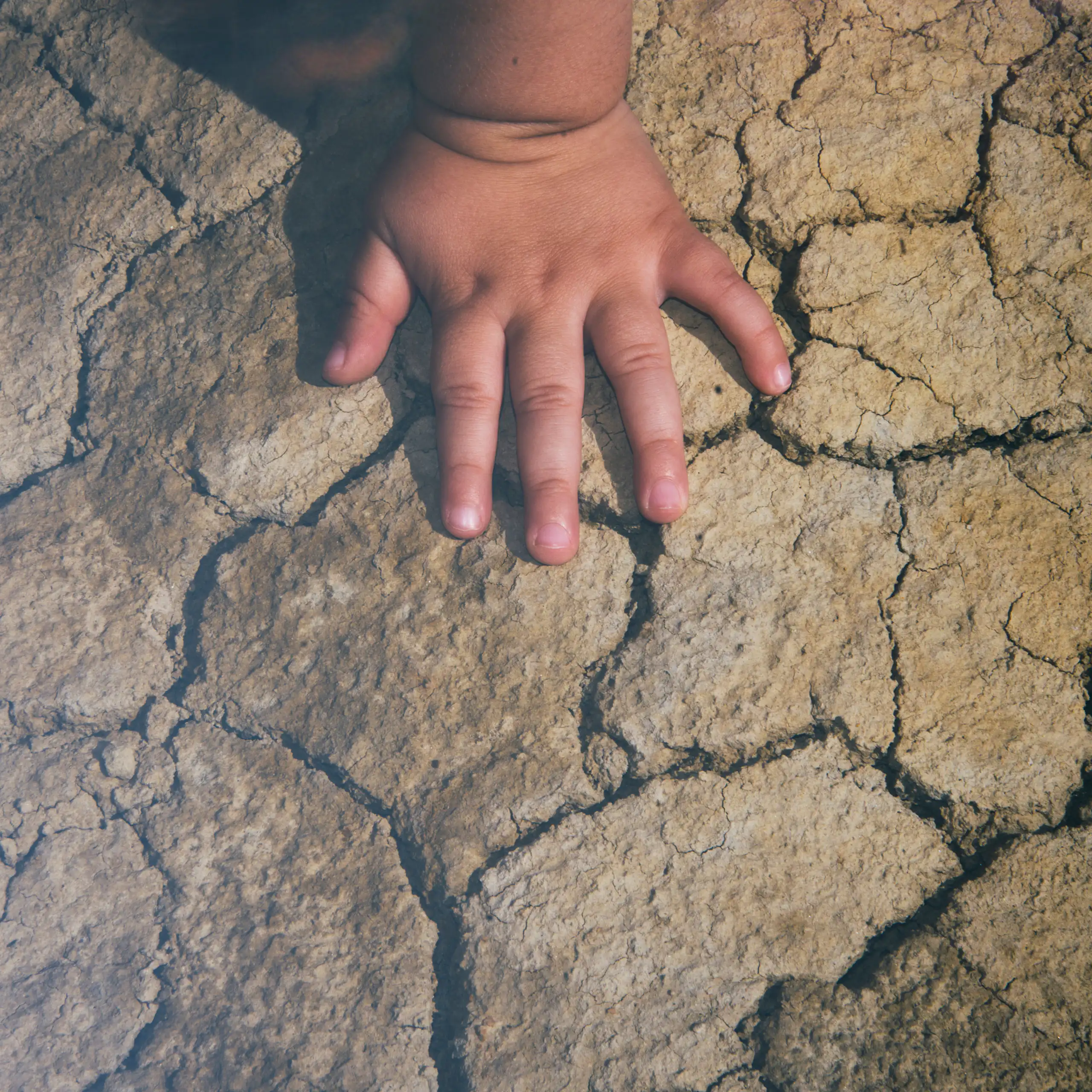 Child's hand on dry cracked earth in a heatwave