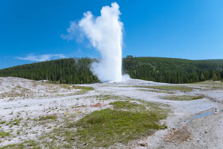 Yellowstone's Old Faithful geyser erupts thousands of gallons of hot water.