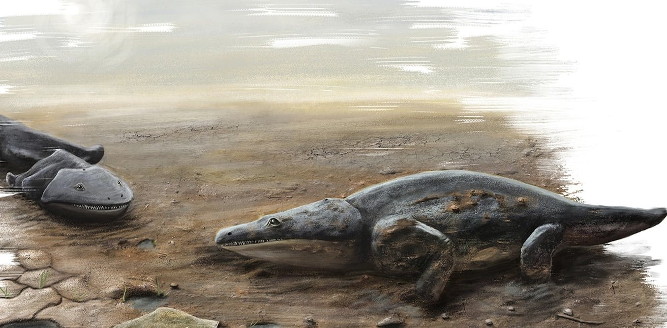Meet the super salamander that nearly ate your ancestors for breakfast