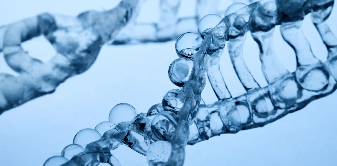 How a little stress may help our cells protect themselves How a little stress may help our cells protect themselves