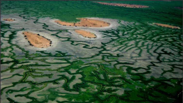 An aerial image of a green landscape with mountains.