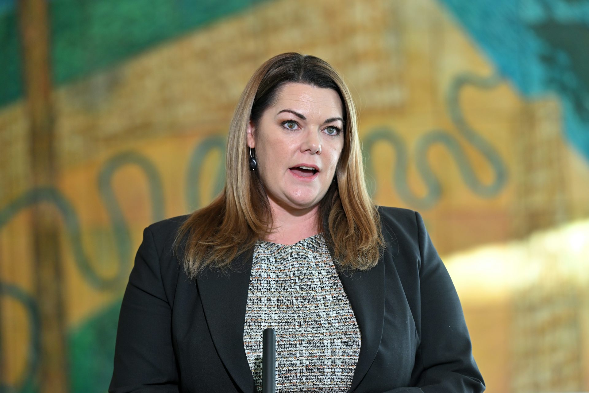 Politics with Michelle Grattan: Sarah Hanson-Young on why progressives need to ‘take on’ One Nation