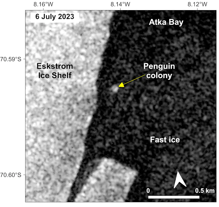 The Atka Bay colony of emperor penguins in satellite radar imagery during winter