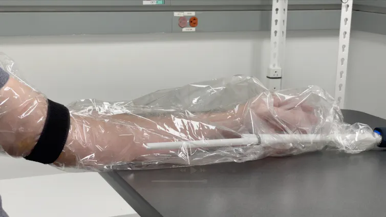 person placing their arm in a plastic bag