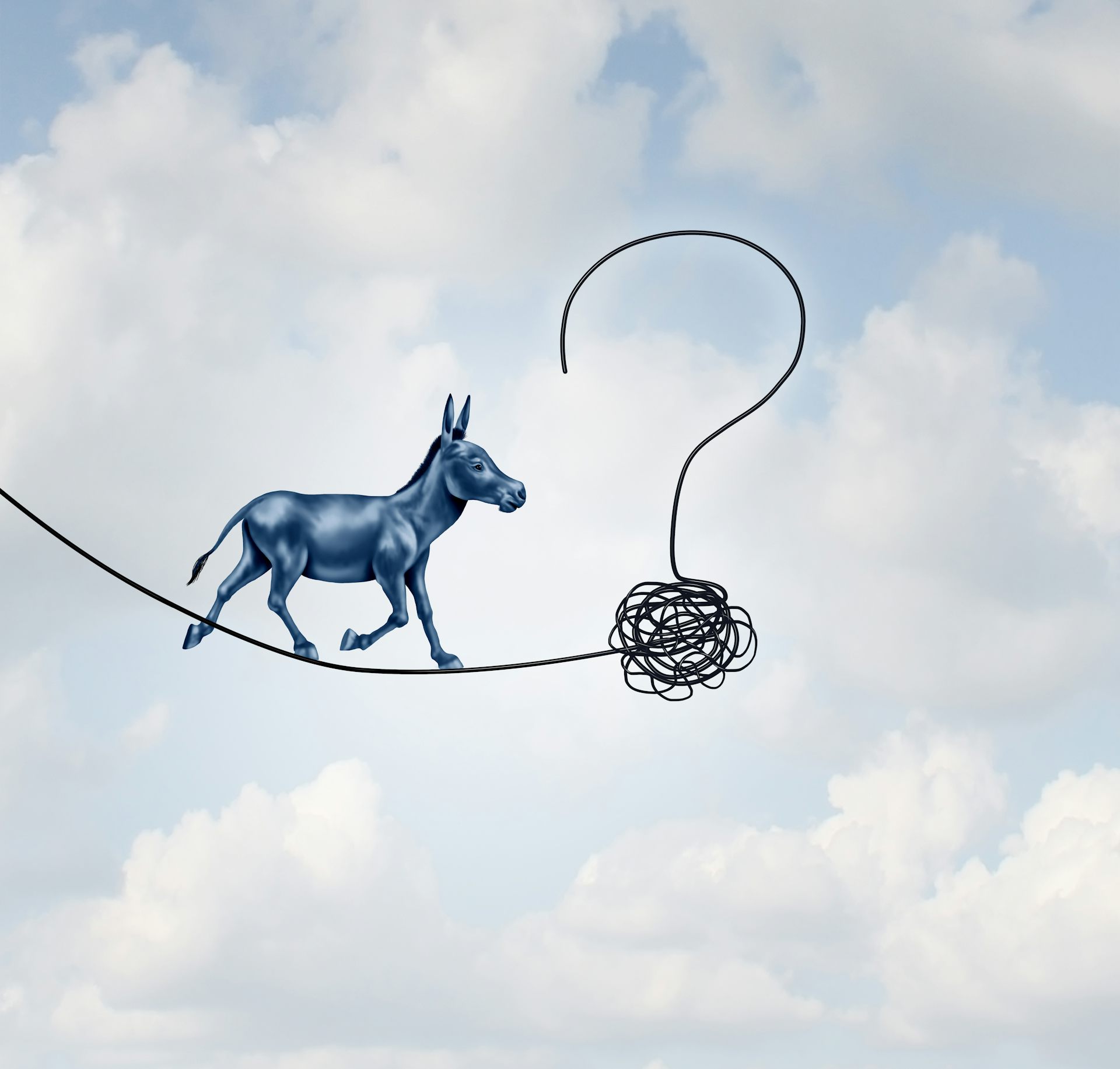 A donkey walking a tightrope with a question mark at its end.