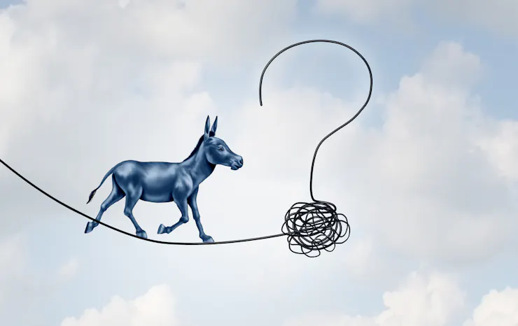 A donkey walking a tightrope with a question mark at its end.