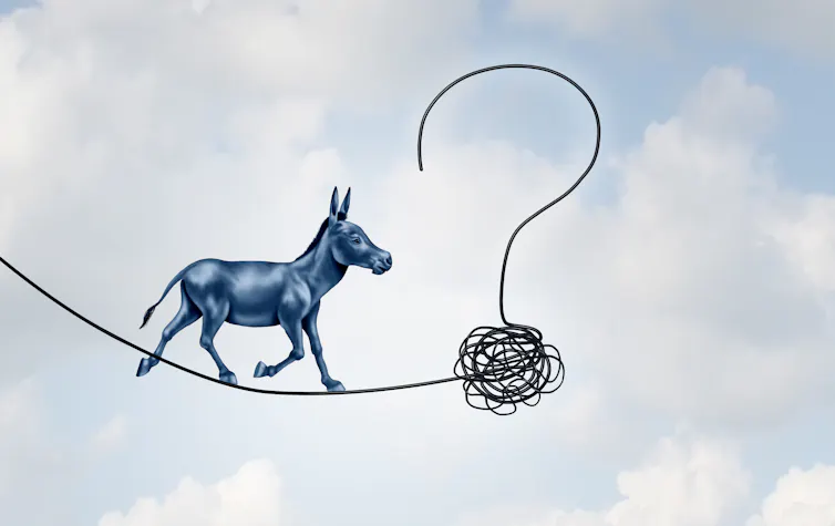 A donkey walking a tightrope with a question mark at its end.