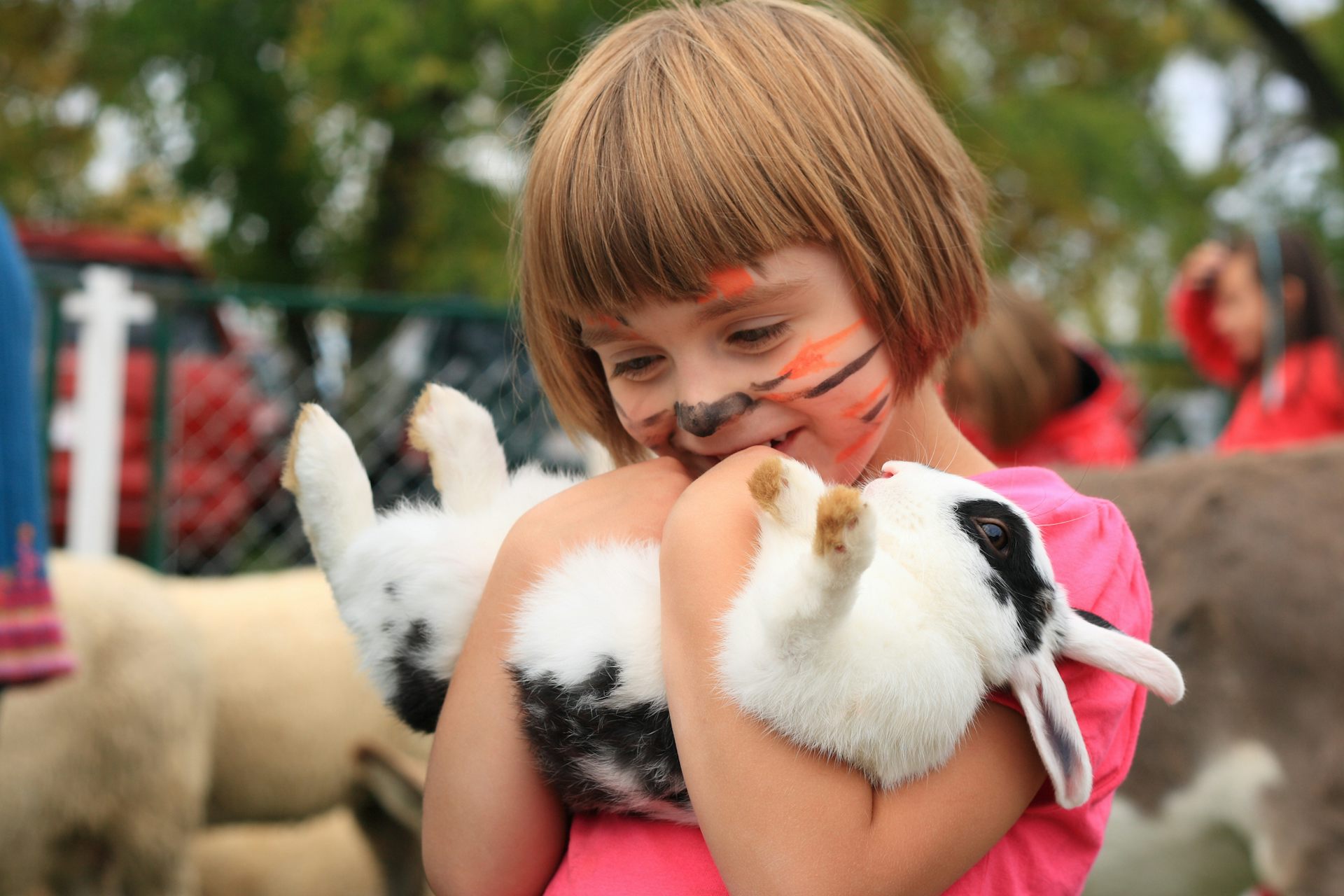 Are petting zoos safe?