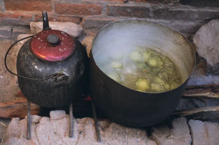 A black kettle with a red lid sits beside a pot of boiling water containing a plant.