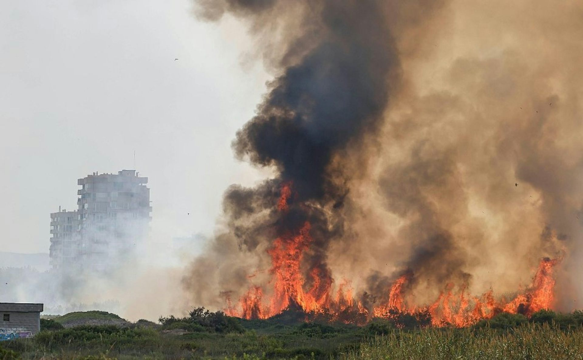 Flames cremant un paratge verd, amb un edifici alt darrere.