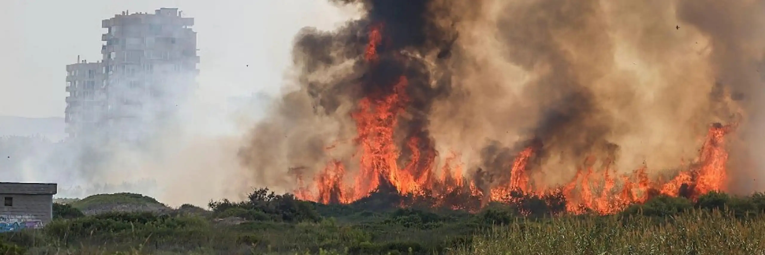 Flames cremant un paratge verd, amb un edifici alt darrere.
