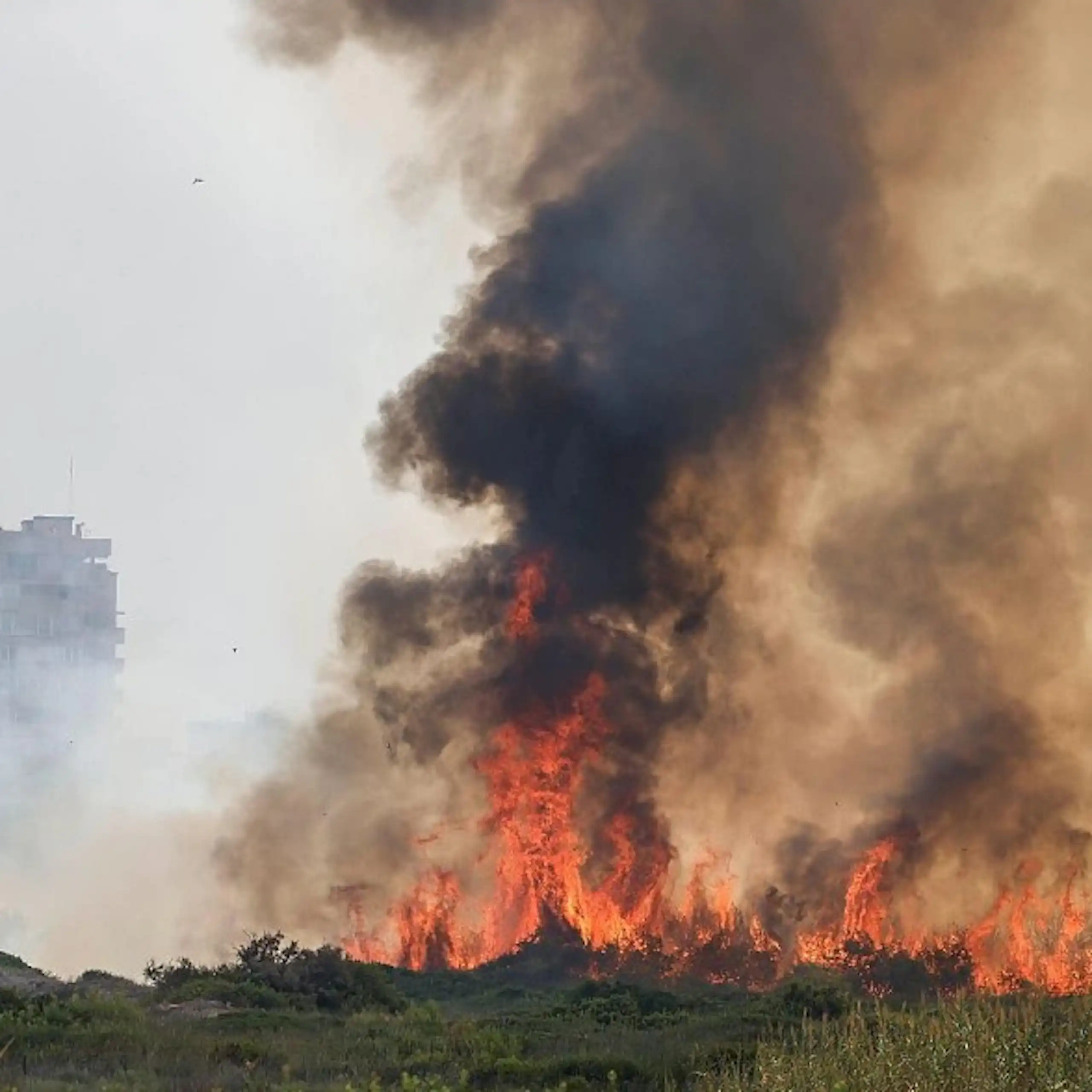 Flames cremant un paratge verd, amb un edifici alt darrere.