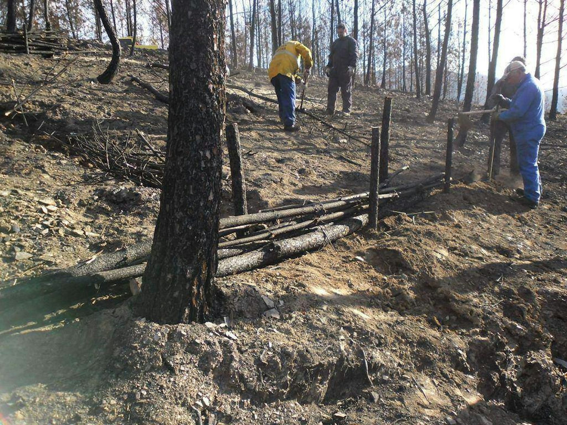 Fire and floods are usually treated as separate hazards. Portugal’s Pinhal Interior shows why they are part of the same cycle