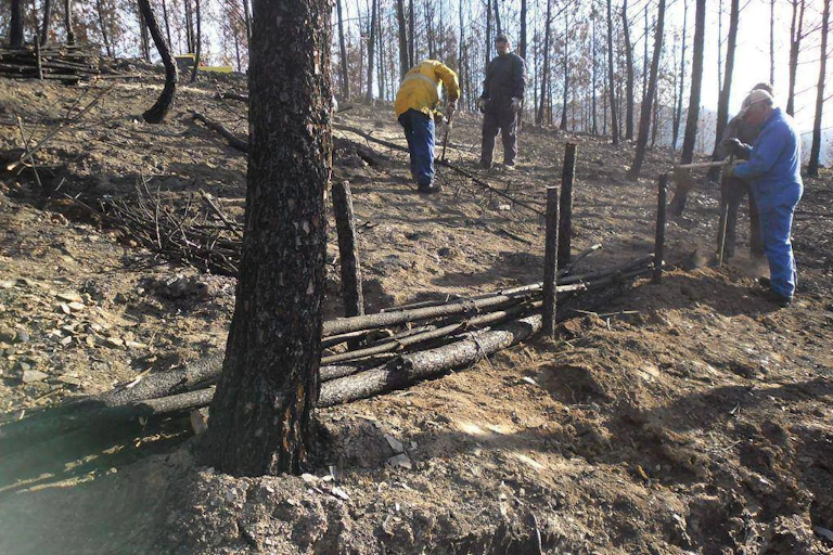 People taking measures and samples in the forest.