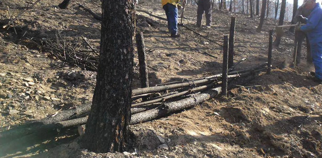 Fire and floods are usually treated as separate hazards. Portugal’s Pinhal Interior shows why they are part of the same cycle Fire and floods are usually treated as separate hazards. Portugal’s Pinhal Interior shows why they are part of the same cycle