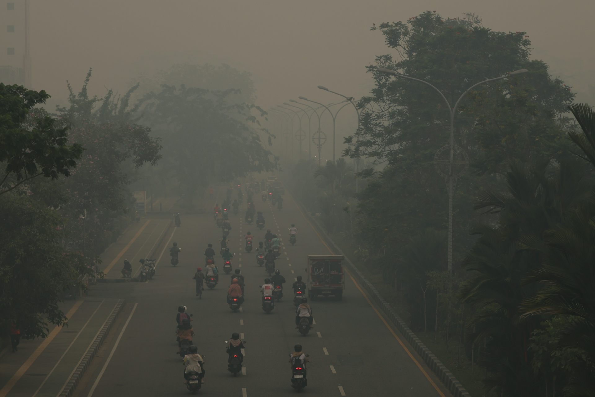 Mengapa sanksi pelaku karhutla amat timpang dengan kerugian berantai yang ditimbulkannya?