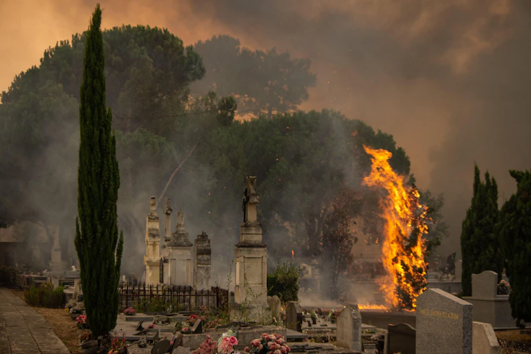 fire, smoke in a cemetery