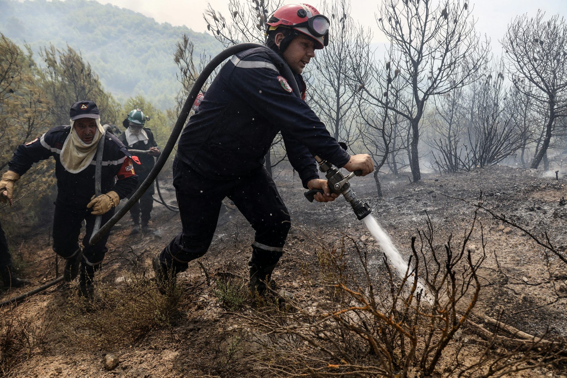 Incendies en Algérie : l’exceptionnelle résilience du peuple comme ressource politique du pouvoir