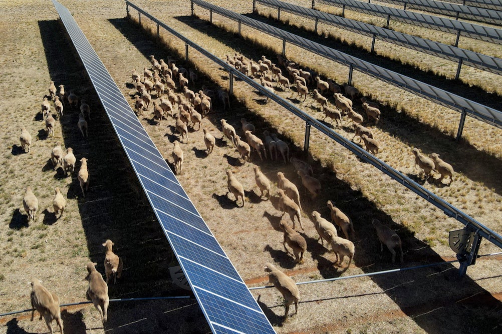theconversation.com - Md Alamgir Hossain - Farmers can now produce more of their own energy than ever - but will they?