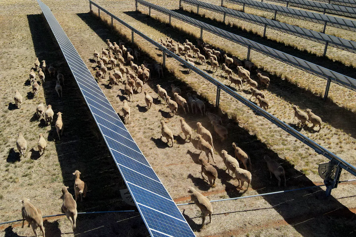 L'australie Va Relever Le Plafond Solaire Pour Les Agriculteurs