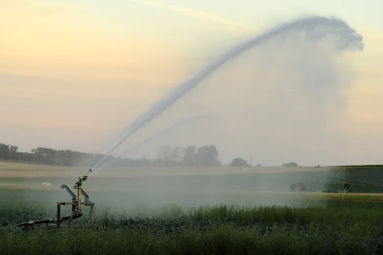large sprinkler on farm, jet of water in the air.