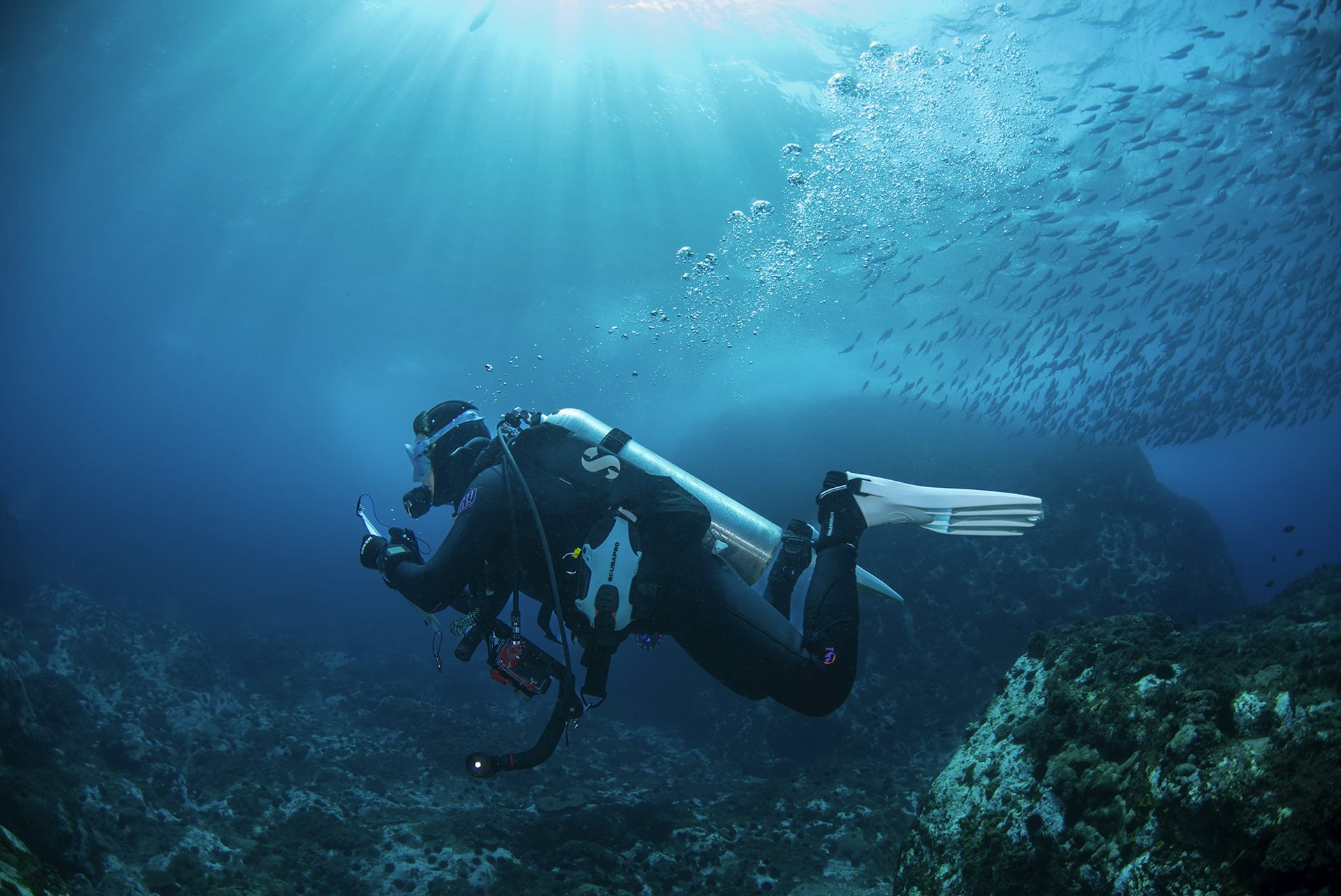 We’re not protecting our oceans as well as we think: new research