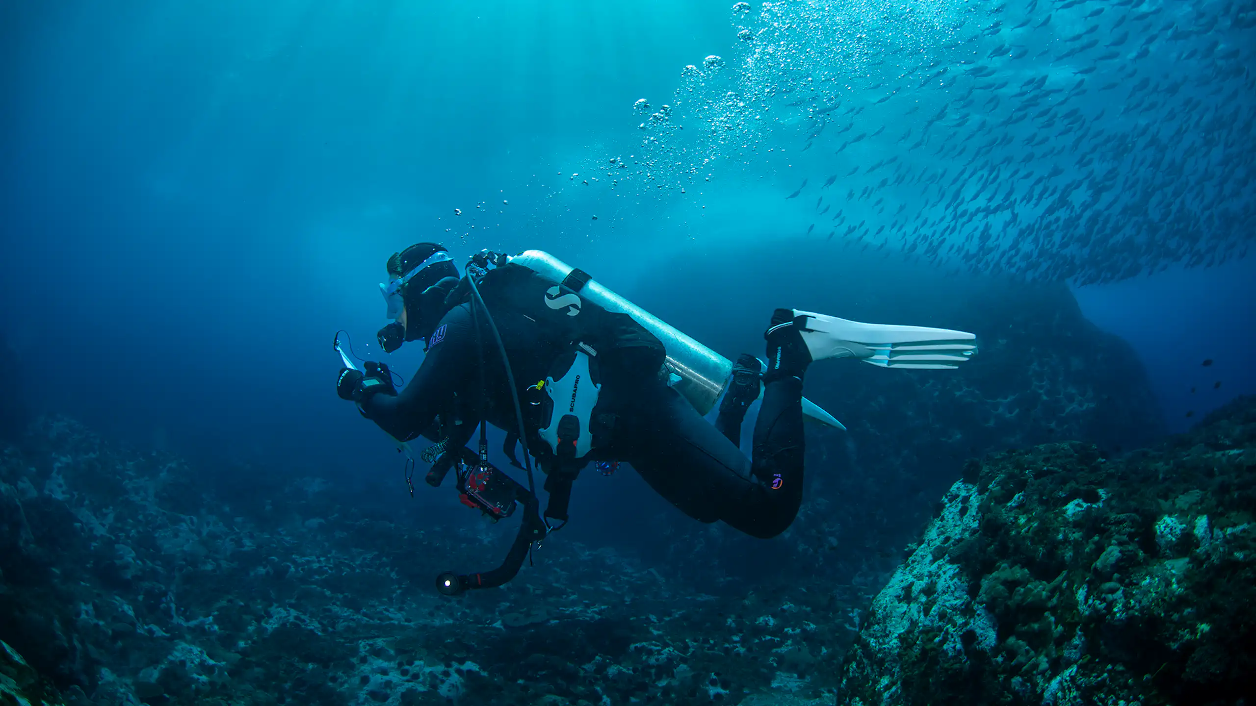 A diver swims through a picturesque ocean environment.
